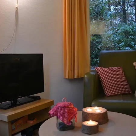 홀리데이파크 Rcn De Jagerstee 4*