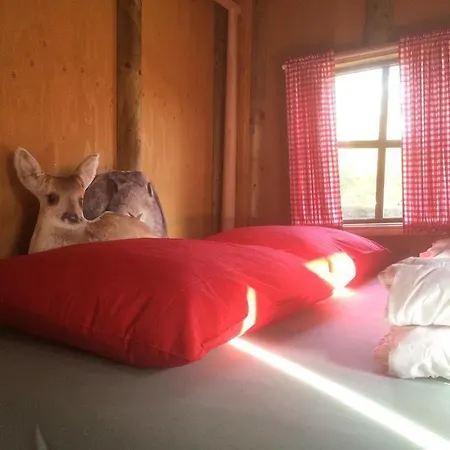 Rcn De Jagerstee 4* אפ