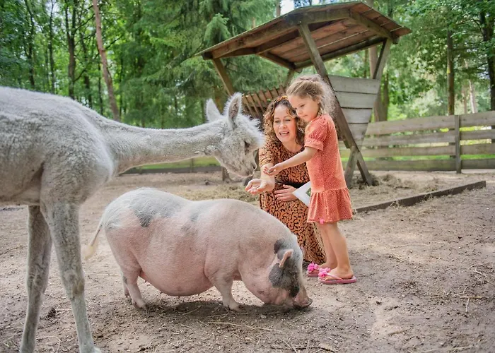 Rcn加戈斯提公寓 4* 伊皮