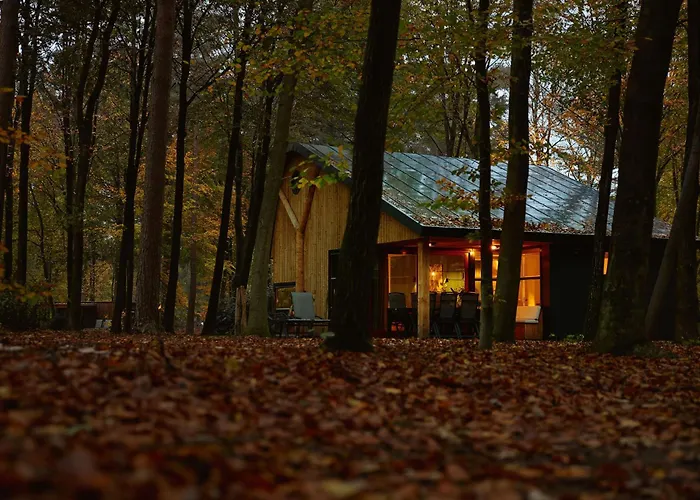 Rcn加戈斯提公寓 4*