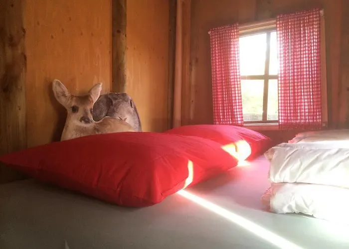 Rcn加戈斯提公寓 4* 伊皮